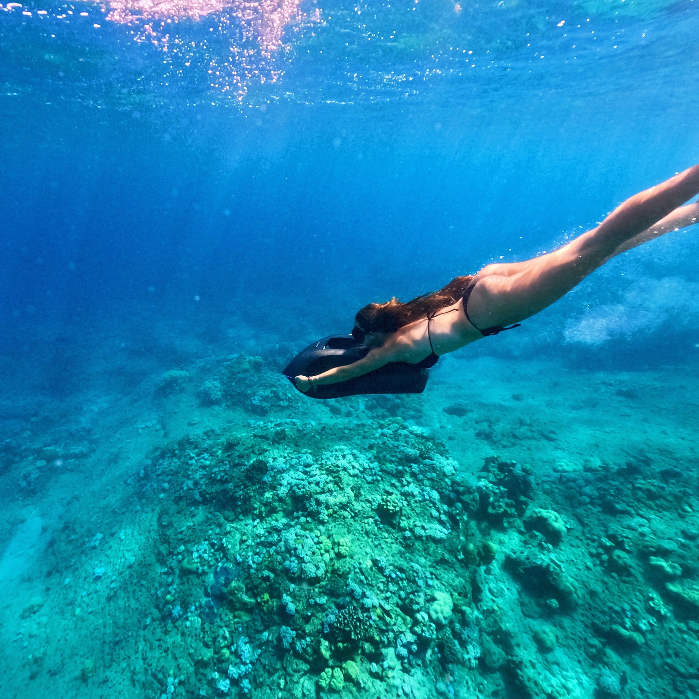 Pure Water Freedom